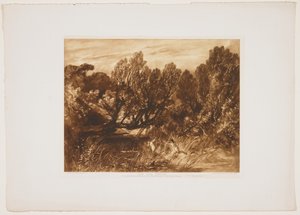 Pan og Syrinx (nr. 2)